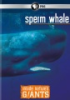 Sperm_whale
